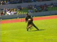 Первый день Зигера в Ульме. Поверка поведения.