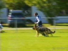 Первый день Зигера в Ульме. Поверка поведения.