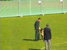 Первый день Зигера в Ульме. Поверка поведения.