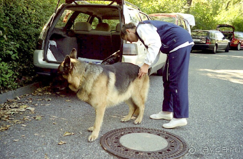 Альбом отзыва "Первый день Зигера в Ульме. Поверка поведения."