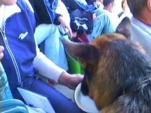 Первый день Зигера в Ульме. Поверка поведения.