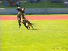 Первый день Зигера в Ульме. Поверка поведения.