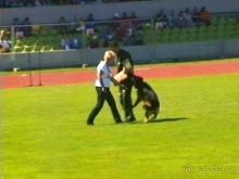 Первый день Зигера в Ульме. Поверка поведения.