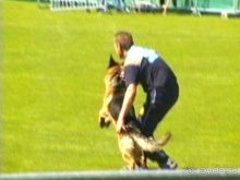 Первый день Зигера в Ульме. Поверка поведения.