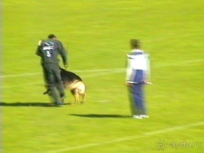 Первый день Зигера в Ульме. Поверка поведения.