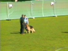 Первый день Зигера в Ульме. Поверка поведения.