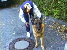 Альбом отзыва "Первый день Зигера в Ульме. Поверка поведения."