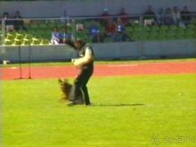 Первый день Зигера в Ульме. Поверка поведения.