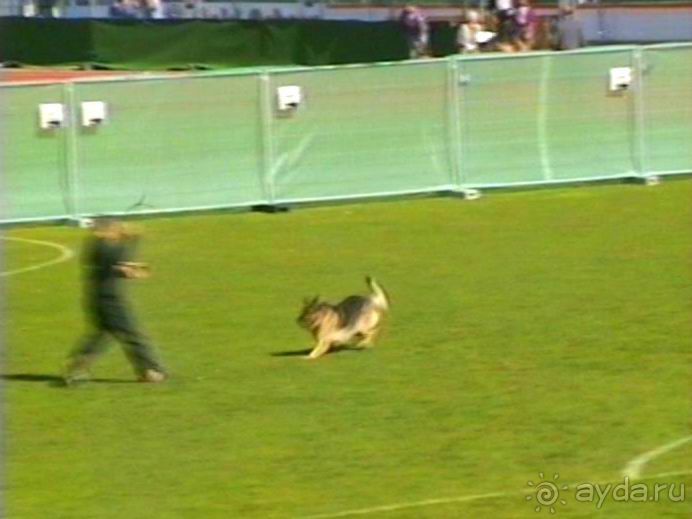 Первый день Зигера в Ульме. Поверка поведения.