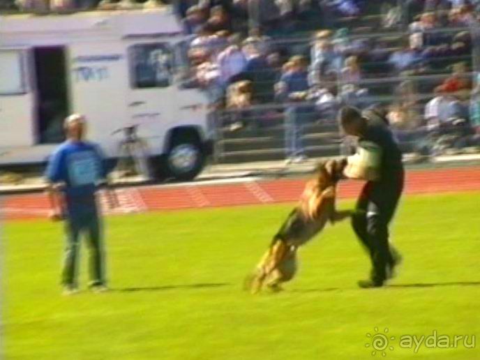 Первый день Зигера в Ульме. Поверка поведения.