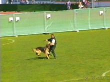 Первый день Зигера в Ульме. Поверка поведения.