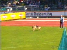 Первый день Зигера в Ульме. Поверка поведения.