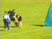 Первый день Зигера в Ульме. Поверка поведения.