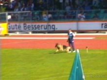 Первый день Зигера в Ульме. Поверка поведения.