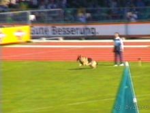 Первый день Зигера в Ульме. Поверка поведения.