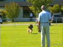 Первый день Зигера в Ульме. Поверка поведения.