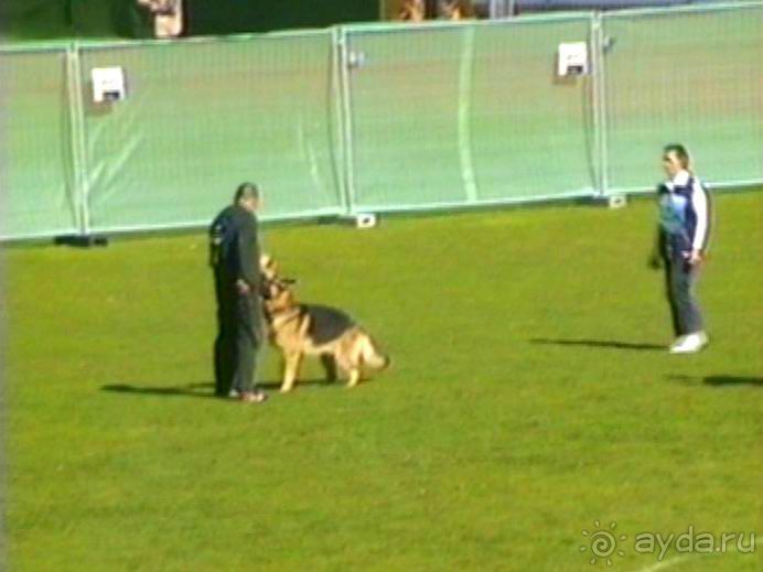 Первый день Зигера в Ульме. Поверка поведения.