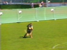 Первый день Зигера в Ульме. Поверка поведения.