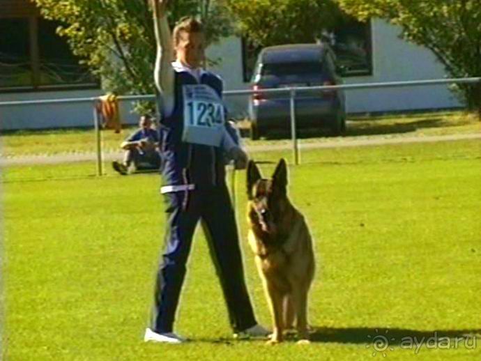 Первый день Зигера в Ульме. Поверка поведения.