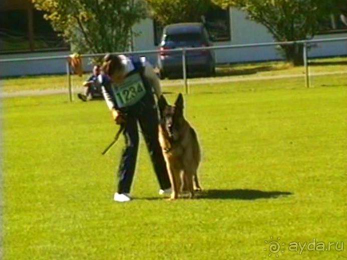 Первый день Зигера в Ульме. Поверка поведения.