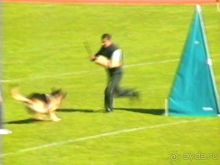 Первый день Зигера в Ульме. Поверка поведения.