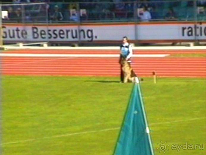 Первый день Зигера в Ульме. Поверка поведения.