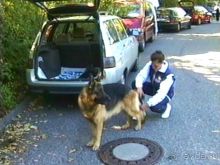 Альбом отзыва "Первый день Зигера в Ульме. Поверка поведения."