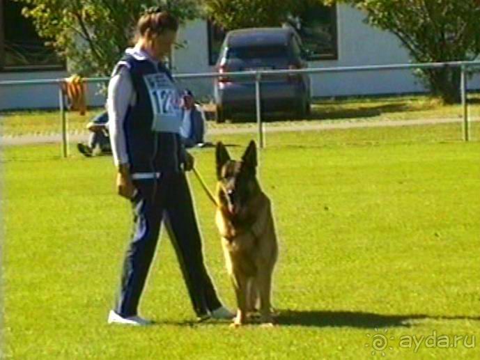 Первый день Зигера в Ульме. Поверка поведения.