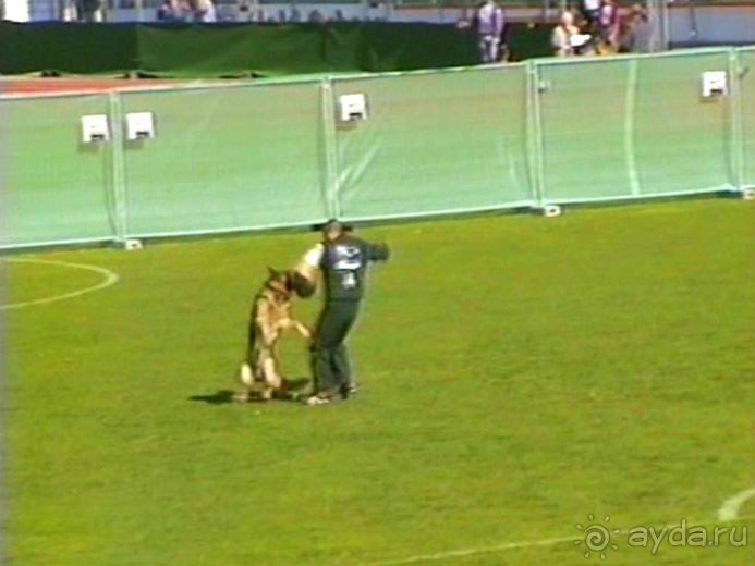 Первый день Зигера в Ульме. Поверка поведения.