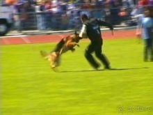 Первый день Зигера в Ульме. Поверка поведения.