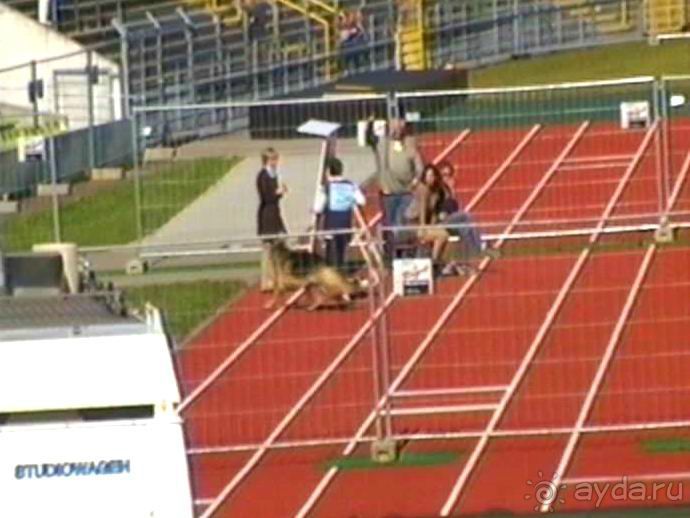 Первый день Зигера в Ульме. Поверка поведения.