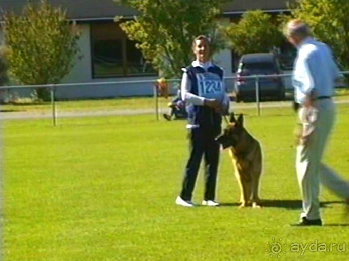 Первый день Зигера в Ульме. Поверка поведения.