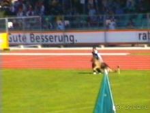 Первый день Зигера в Ульме. Поверка поведения.