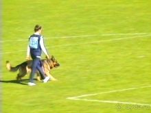 Альбом отзыва "Первый день Зигера в Ульме. Поверка поведения."