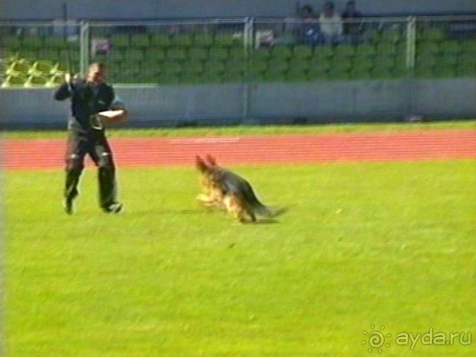 Первый день Зигера в Ульме. Поверка поведения.