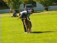 Первый день Зигера в Ульме. Поверка поведения.