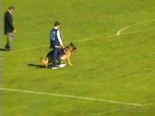 Альбом отзыва "Первый день Зигера в Ульме. Поверка поведения."