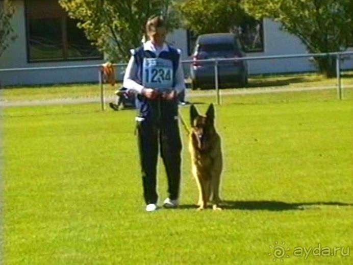 Первый день Зигера в Ульме. Поверка поведения.