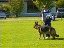 Первый день Зигера в Ульме. Поверка поведения.