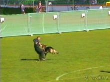 Первый день Зигера в Ульме. Поверка поведения.