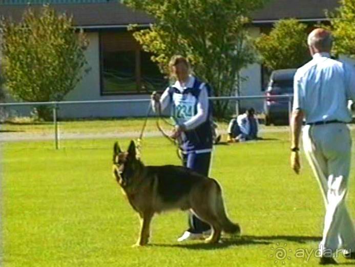 Первый день Зигера в Ульме. Поверка поведения.