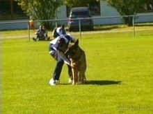 Первый день Зигера в Ульме. Поверка поведения.