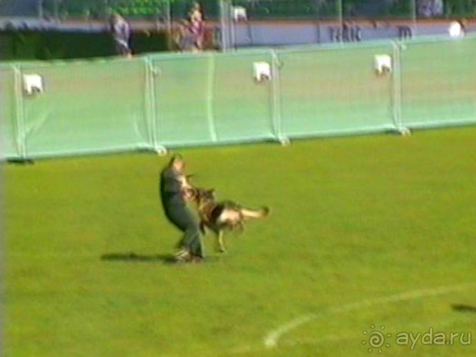 Первый день Зигера в Ульме. Поверка поведения.