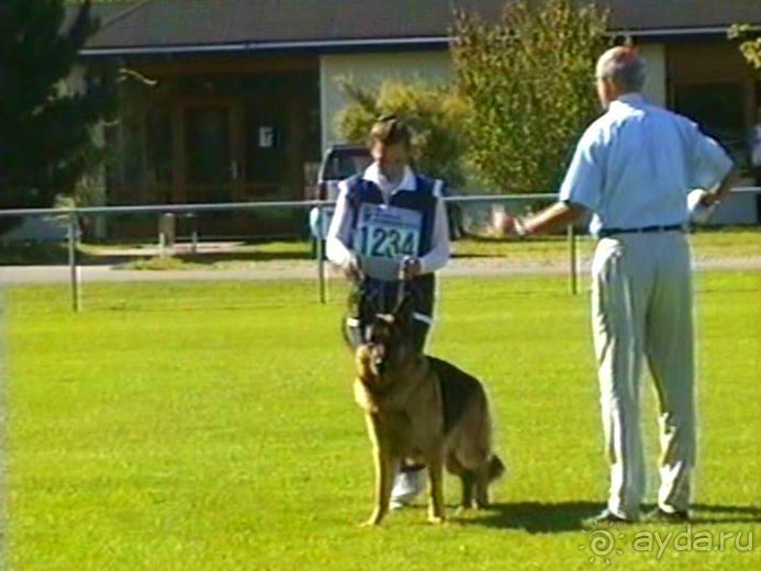 Первый день Зигера в Ульме. Поверка поведения.