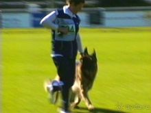 Первый день Зигера в Ульме. Поверка поведения.