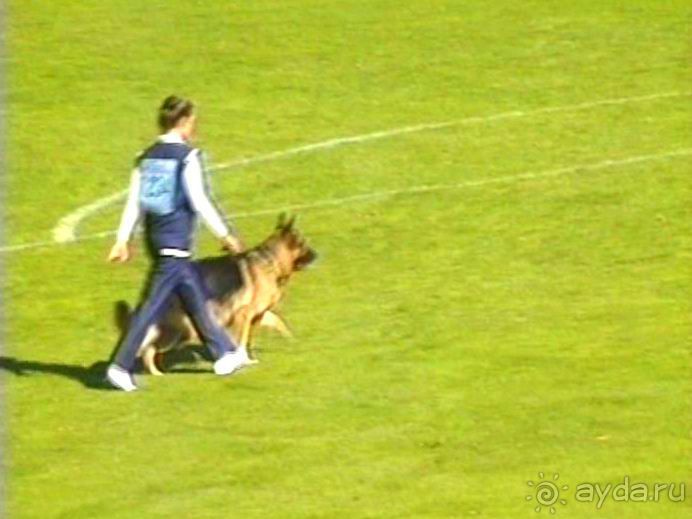 Альбом отзыва "Первый день Зигера в Ульме. Поверка поведения."