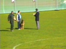 Первый день Зигера в Ульме. Поверка поведения.