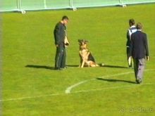 Первый день Зигера в Ульме. Поверка поведения.