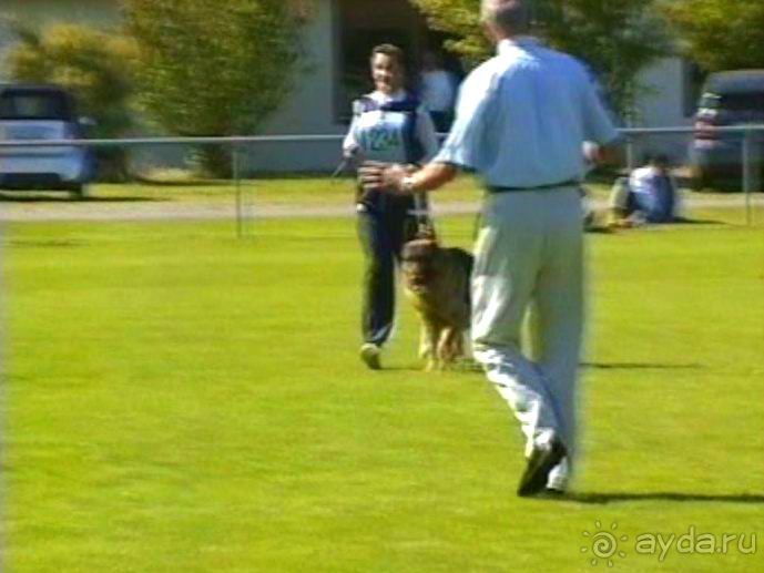 Первый день Зигера в Ульме. Поверка поведения.