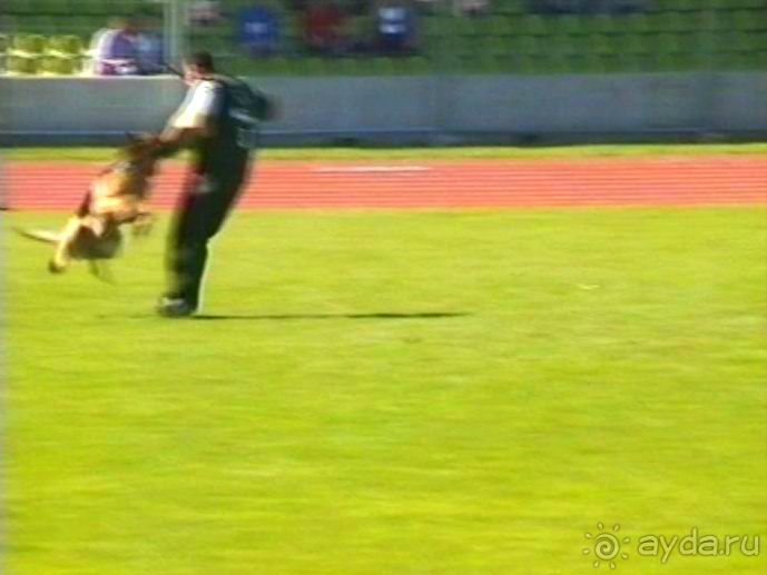 Первый день Зигера в Ульме. Поверка поведения.